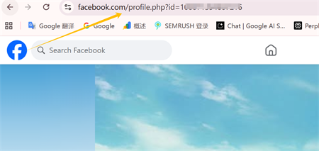 Facebook profil veza